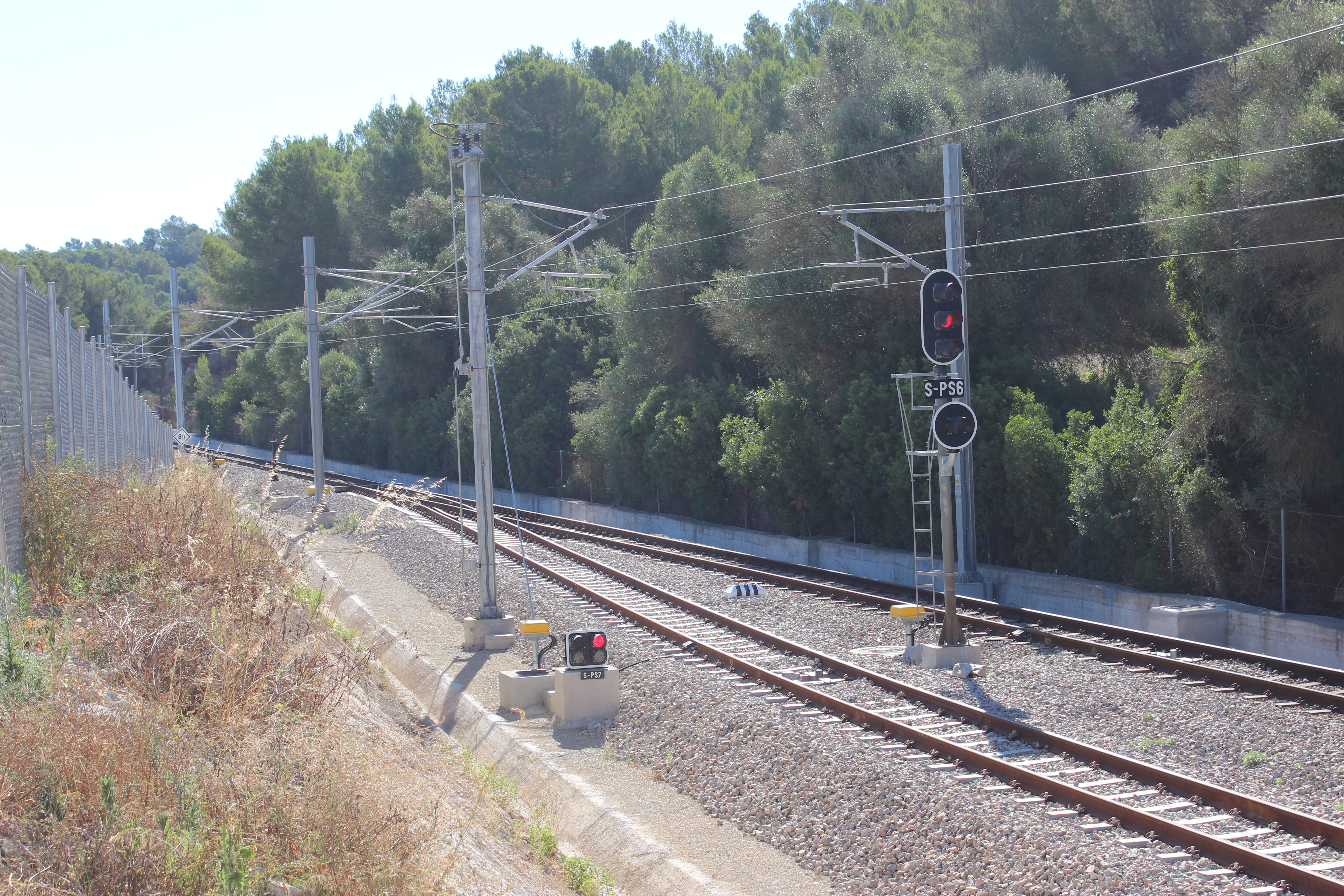 Imatge d'un tram de doble via a Mallorca
